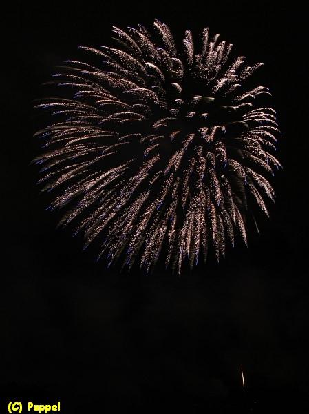 D-T4859-IMG_8918-5a.jpg