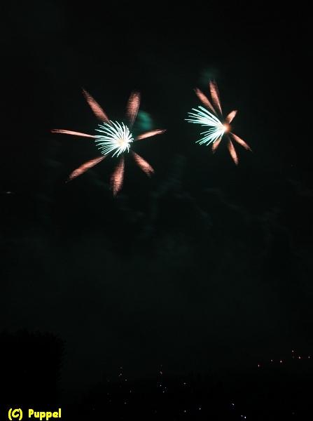 D-T5006-IMG_8992-5a.jpg