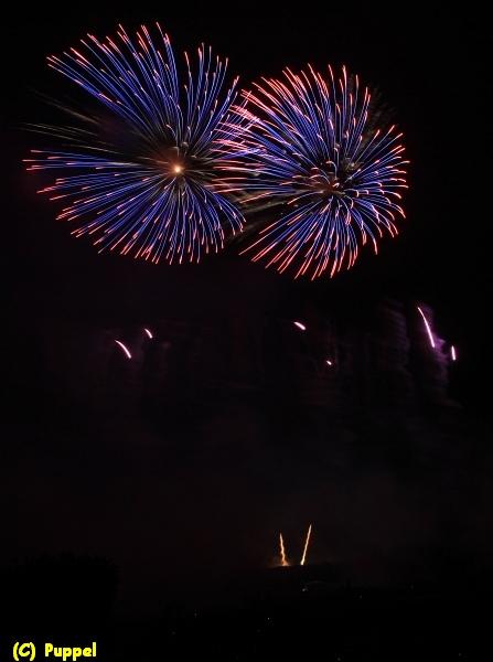 D-T5211-IMG_9088-5a.jpg