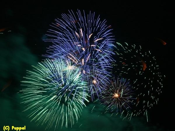 D-T5229-IMG_1666-4a.jpg