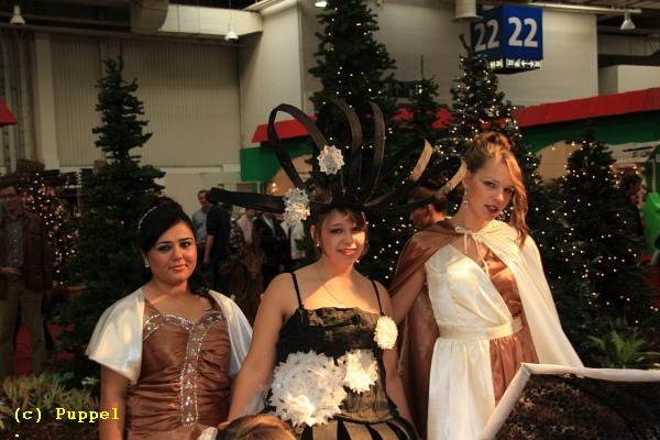 D-V2227-IMG_0184-5.JPG