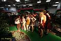 D-V2186-IMG_1732-4