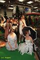 D-V2224-IMG_0182-5