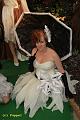 D-V2228-IMG_0185-5