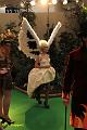 D-V5663-IMG_2419-5