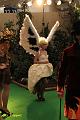 D-V5664-IMG_2420-5