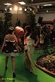 D-V5715-IMG_2471-5