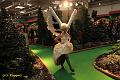 D-V5884-IMG_2640-5