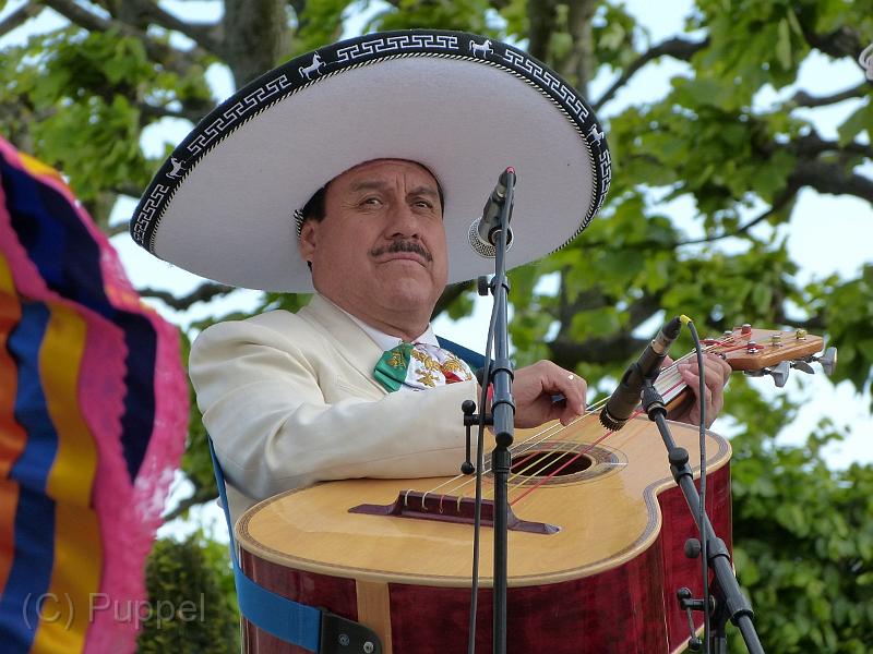 D-P5557-P1590210-1.JPG