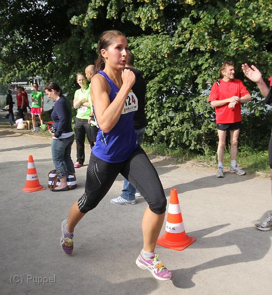 T-20140618-173013_IMG_9595-Fa.jpg