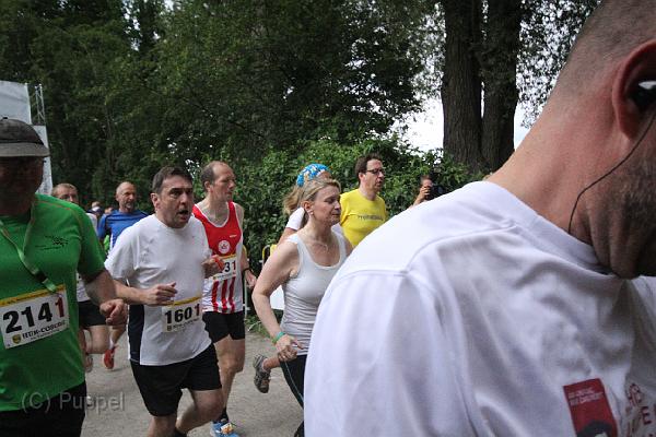 T-20140618-153208_IMG_7328-F.JPG