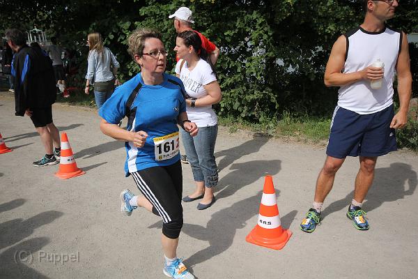 T-20140618-163038_IMG_8172-F.JPG