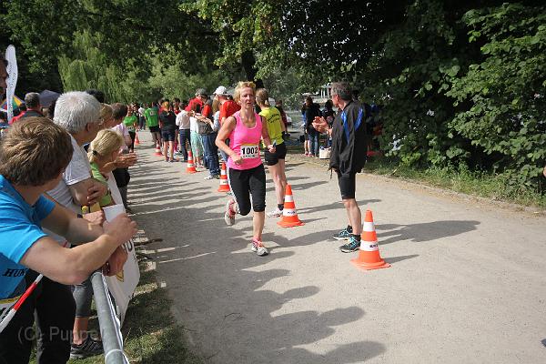 T-20140618-163100_IMG_8180-F.JPG