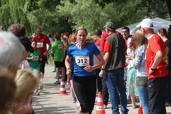 T-20140618-163117_163216_IMG_3978-6.JPG