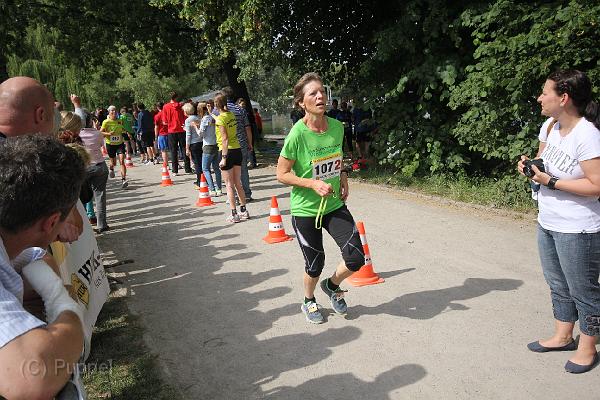 T-20140618-163243_IMG_8230-F.JPG
