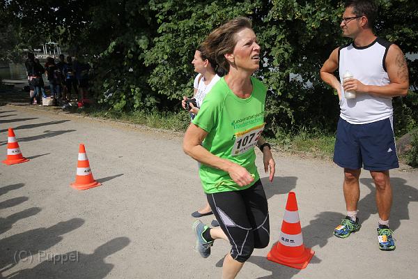 T-20140618-163243_IMG_8232-F.JPG
