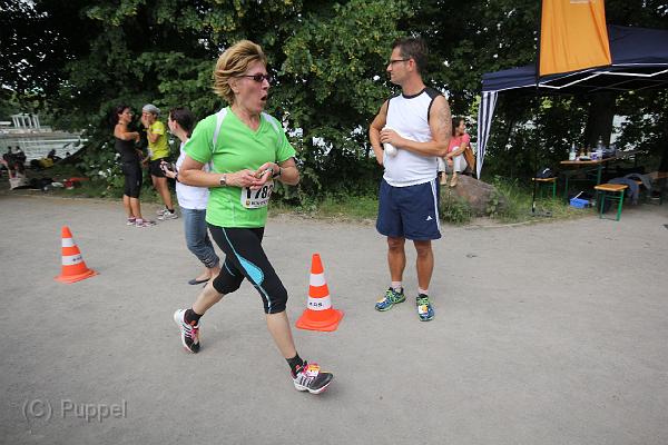 T-20140618-163447_IMG_8288-F.JPG