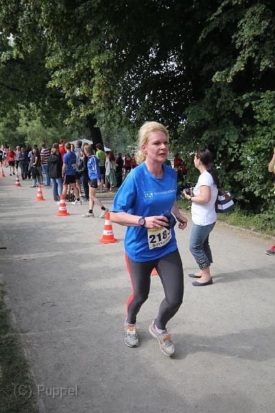 T-20140618-170955_IMG_9100-F.JPG