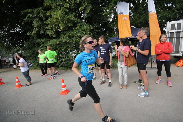 T-20140618-172713_IMG_9476-F.JPG