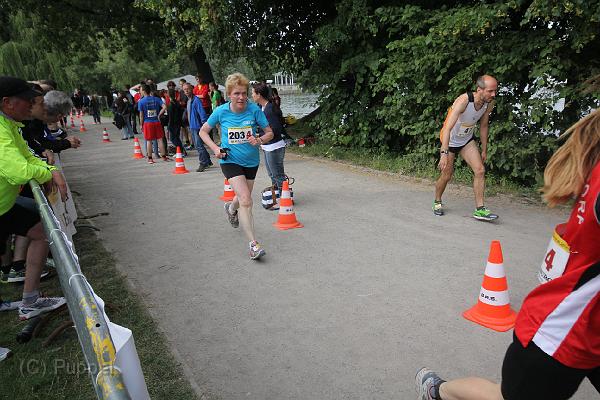 T-20140618-174508_IMG_0028-F.JPG