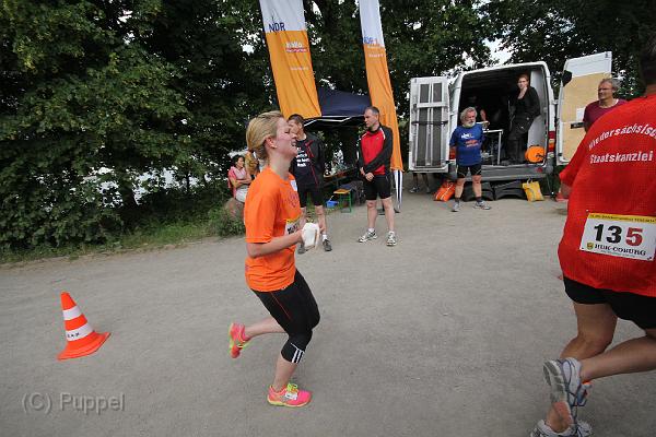 T-20140618-174514_IMG_0037-F.JPG
