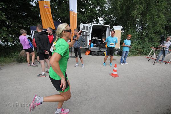 T-20140618-175516_IMG_0332-F.JPG