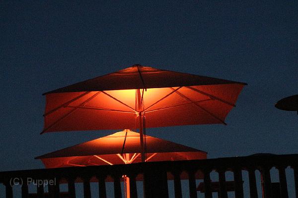 T-20140823-211044_IMG_5694-6.JPG