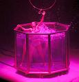 T-20150220-212602_IMG_4398-7a-