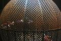 T-20150220-220238_IMG_5343-7-