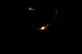 T-20150405-214218_IMG_0430-7