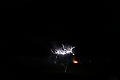 T-20150405-215334_IMG_0586-7
