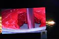 T-20150412-182428_IMG_3678-7