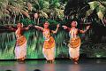 T-20150412-185159_IMG_4370-7