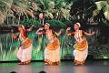 T-20150412-185159_IMG_4371-7