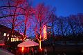 T-20150412-205956_IMG_2615-6