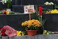 T-20150508-164244_IMG_8695-7