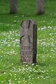 T-20150509-123104_IMG_9415-7