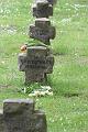 T-20150509-123803_IMG_9455-7a