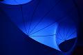 T-20150612-171946_IMG_8682-6