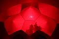 T-20150612-172259_IMG_8733-6