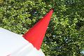 T-20150612-180158_IMG_7873-7