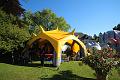 T-20150612-182409_IMG_8976-6