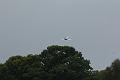 T-20150626-135711_IMG_1715-7