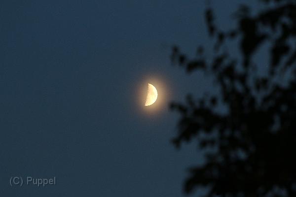 T-20150723-220151_IMG_5527-7.JPG
