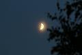 T-20150723-220151_IMG_5527-7