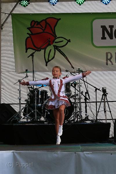 T-20150730-182427_IMG_6636-7.JPG