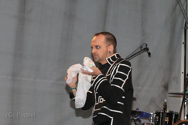 T-20150730-210224_IMG_7799-7.JPG