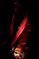 T-20150730-220733_IMG_8520-7