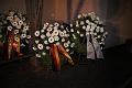 T-20151114-174555_IMG_0274-6