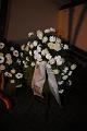 T-20151114-174936_IMG_0316-6